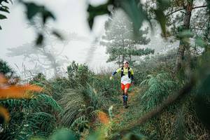 BIB: 
                            <button type="button" onclick="openModal(25258253)" class="btn btn-primary btn-sm float-right btn-popup" data-toggle="modal" data-target=".modal-high-quality">
                        <i class="fas fa-shopping-cart"></i> Add to Cart
                    </button>
                                            <button type="button" onclick="isThisMe(25258253, true)" class="btn btn-success btn-sm float-right btn-popup btn-isme hidden" data-toggle="tooltip" data-placement="bottom" title="นี่คือรูปของคุณใช่ไหม คลิกที่นี่เพื่อเอาเข้าอัลบั้ม">
                        <i class="fas fa-plus"></i> Add to album
                    </button>
                    <button type="button" onclick="isThisMe(25258253, false)" class="btn btn-warning btn-sm float-right btn-popup btn-isnotme hidden">
                        <i class="fas fa-ban"></i> Remove from album
                    </button>